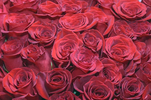 Tło Bukietów Kwiatów Róże Projektowanie Zamknij Się — Zdjęcie stockowe