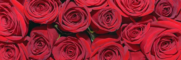 Tło Bukietów Kwiatów Róże Projektowanie Panoramę Zamknij Się — Zdjęcie stockowe