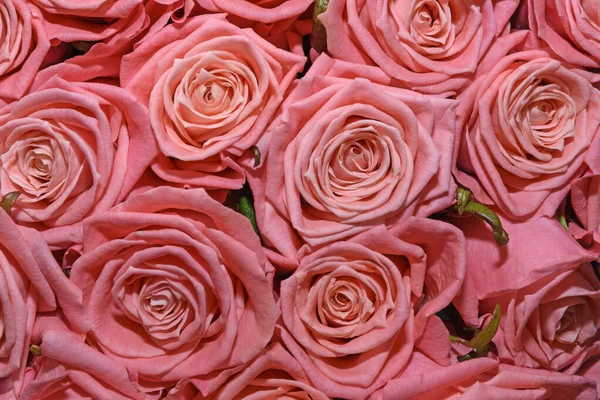 Фон Букета Цветов Розы Дизайн Закрыть — стоковое фото