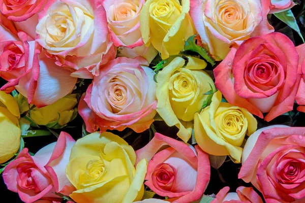 Цветочный Фон Розовых Бутонов Дизайн Закрыть — стоковое фото