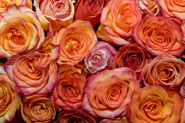 Фон Букета Цветов Розы Дизайн Закрыть — стоковое фото