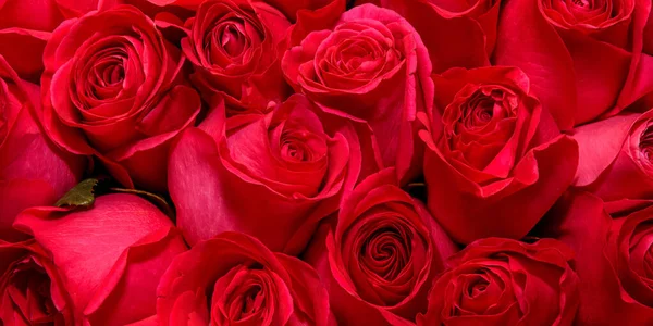 Tło Bukietów Kwiatów Róże Projektowanie Zamknij Się — Zdjęcie stockowe