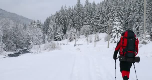 Escursionista Con Uno Zaino Piedi Una Strada Innevata Invernale — Video Stock