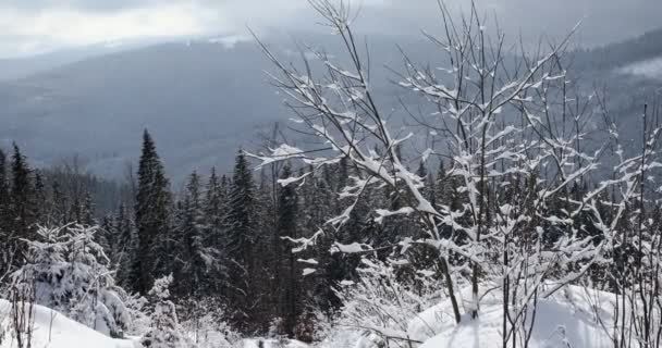 Paysage Montagne Par Une Journée Ensoleillée Hiver — Video