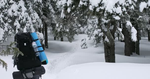 一个男人 背着背包在冬天的森林里 — 图库视频影像