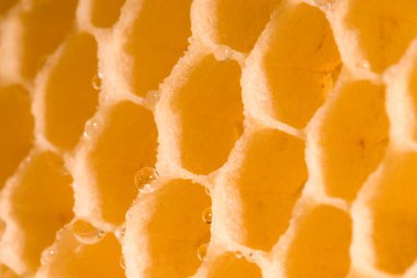 Beyaz arkaplanda kırmızı not çubuğu