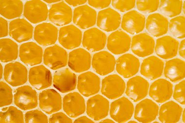 Beyaz arkaplanda kırmızı not çubuğu