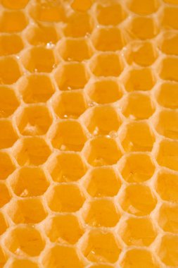 Beyaz arkaplanda kırmızı not çubuğu