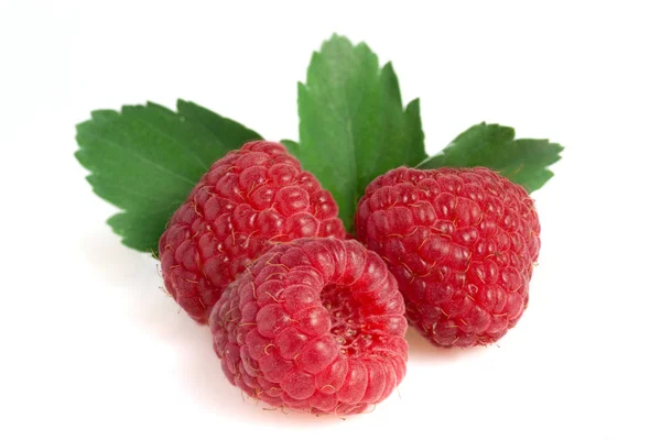 Beyaz arkaplanda kırmızı not çubuğu