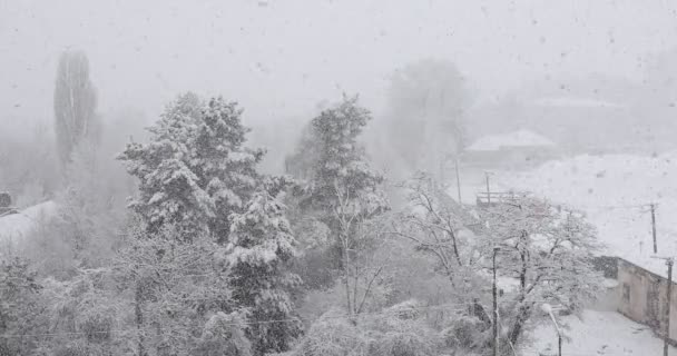 Paisaje Invierno Con Nieve — Vídeos de Stock