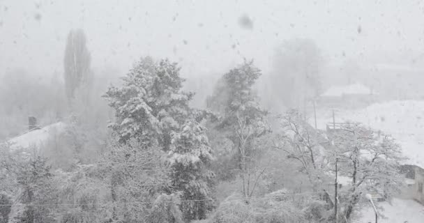 冬天下大雪 — 图库视频影像