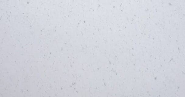 Сильный Снег Падает Неба — стоковое видео