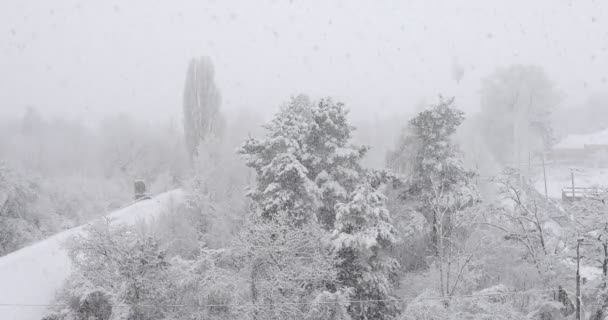 Nieve Cubierto Paisaje Nevadas — Vídeo de stock