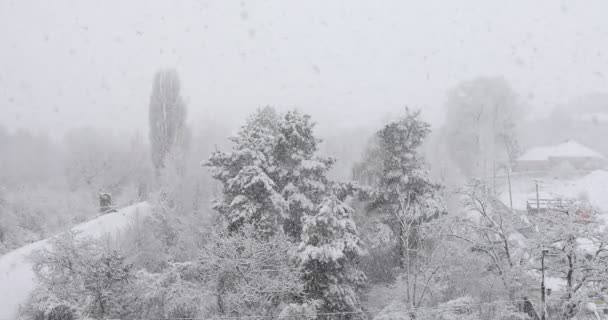 Nieve Pesada Cae Del Cielo — Vídeos de Stock