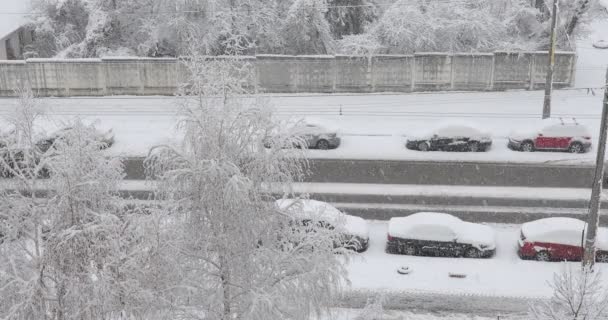 Cars Drive Snowy Road Strong Snowfall — 비디오
