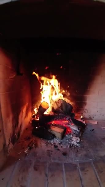 Feu Dans Cheminée Vertical — Video