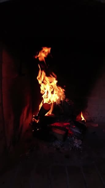 Şöminede Yakacak Odun Ateş Açın — Stok video
