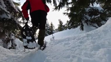 Kar ayakkabılı turist gün batımında derin karda yürüyüşe çıkar. Alçak nokta. Yavaş çekim