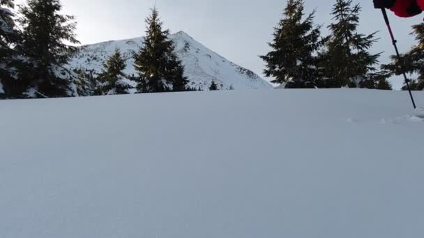 男は山の背景にスノーシューで新鮮な深い雪の中を歩く — ストック動画