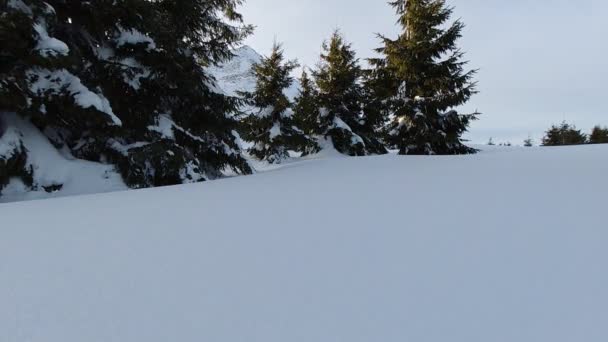 Touriste dans la neige marche dans la neige fraîche. Point le plus bas. Gros plan. Ralentisseur