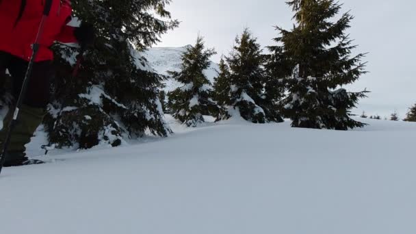 Hombre Camina Nieve Profunda Raquetas Nieve Movimiento Lento — Vídeo de stock