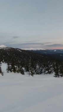 Ukrayna dağları Hoverla ve Petros dikey bir videoda