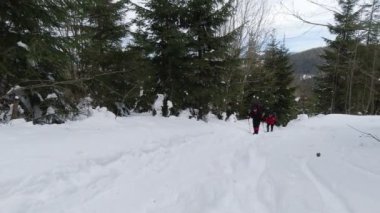 Sırt çantalı ve yürüyüş sopalı iki adam kış yürüyüşünde tepeye tırmanıyor.