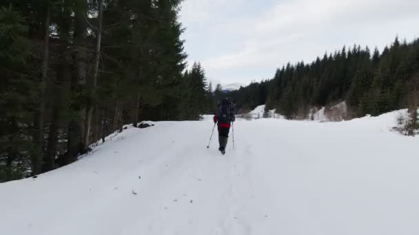 Homem Com Uma Mochila Viaja Pelas Montanhas Pov — Vídeo de Stock