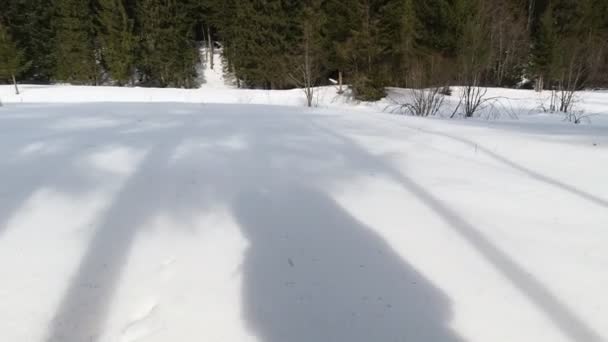 Shadow Snow Man Backpack Hike Sunny Winter Day Pov — kuvapankkivideo