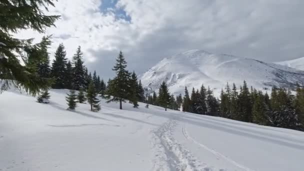 Vistas Deslumbrantes Das Montanhas Inverno Nos Cárpatos — Vídeo de Stock