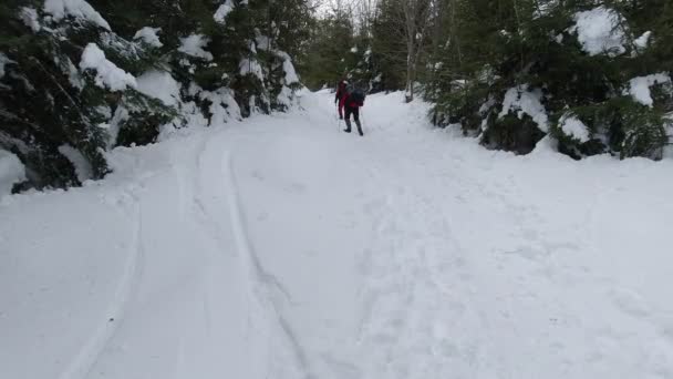 两个背着背包和远足杆子的人在冬季徒步旅行中爬上了一座小山 — 图库视频影像