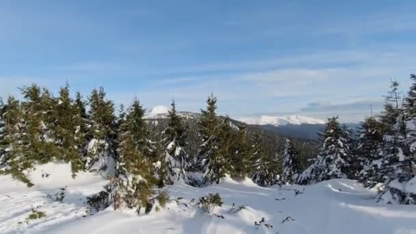 乌克兰Goverla和Petros的冬季喀尔巴阡山脉 — 图库视频影像