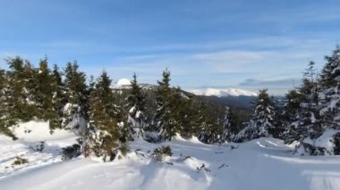 Güneşli bir günde kış petrolleri, Ukrayna. Pan