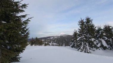 Hoverla, Ukrayna 'nın en yüksek dağı. Zaman Uygulaması