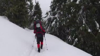Karpatlar 'da kar fırtınalarının arasında kış yürüyüşü. Hiperlapse