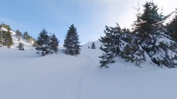 Kış Yürüyüşünde Yokuş Yukarı Tırmanmak Birinci Şahıs Atışı Bakış Açısı — Stok video
