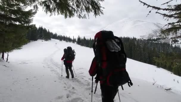 Tourists Walk Path Mountain Winter Hike — Stock Video