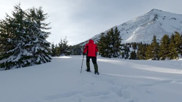Man Met Sneeuwschoenen Loopt Vers Gevallen Sneeuw — Stockvideo