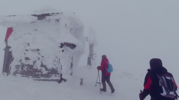 ペトロ山 カルパティア ウクライナのトレッキングポールを持つ観光客 — ストック動画