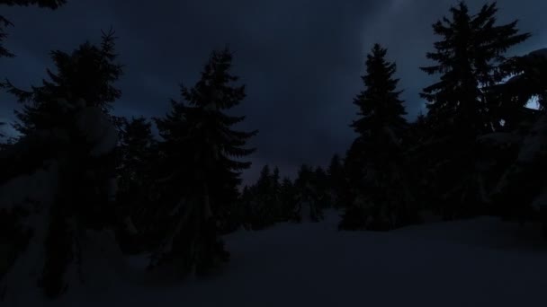 Twilight Night Snowy Forest Timelapse — Stock Video