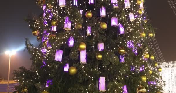 主クリスマスツリーにクリスマスツリーの装飾を光る — ストック動画
