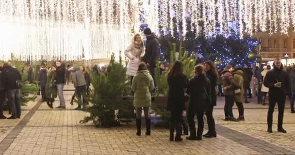 Kiev Ucrânia Janeiro 2018 Guirlanda Natal Praça Sofievskaya Kiev Pessoas — Vídeo de Stock