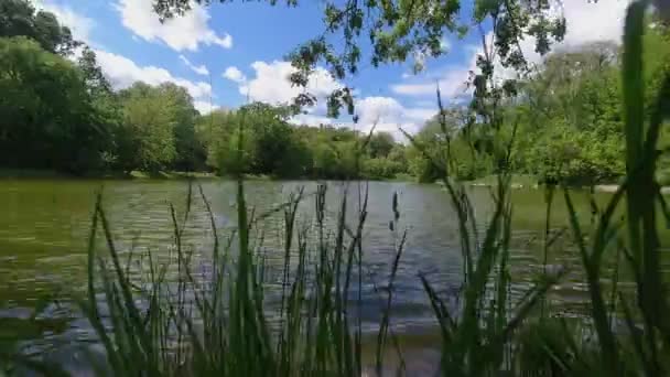 Timelapse du lac dans le parc 