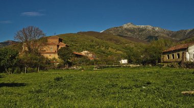 Yeşil vadi, yeşil dağlar ve karlı tepeler.