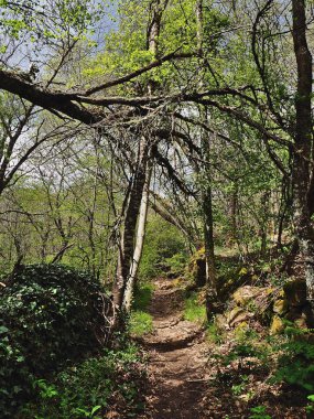 Sierra de Francia 'nın doğal manzarası