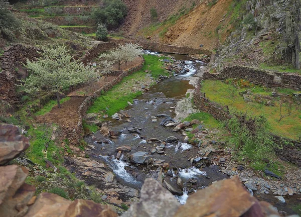 Malvellido River Road Meancera Small Terraced Gardens — Stock Photo, Image