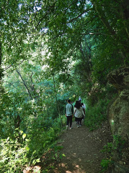 Nogaledas Ruta Por Las Empinadas Frondosas Laderas Del Valle Del — Foto de Stock