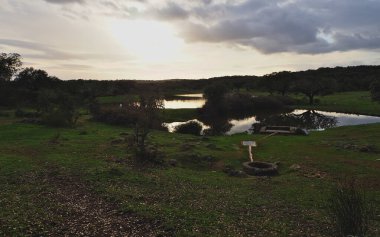 Çayırdaki çeşme ve gölcükler ve arka planda günbatımı