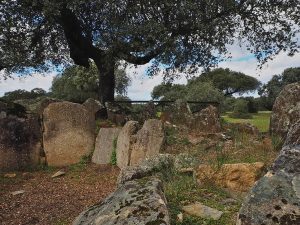 Montehermoso 'nun otlağındaki dolmenleri. Kelt taş mezarları