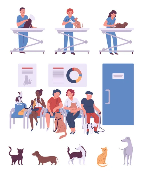 People with pets in veterinary clinic, cartoon characters vector illustration